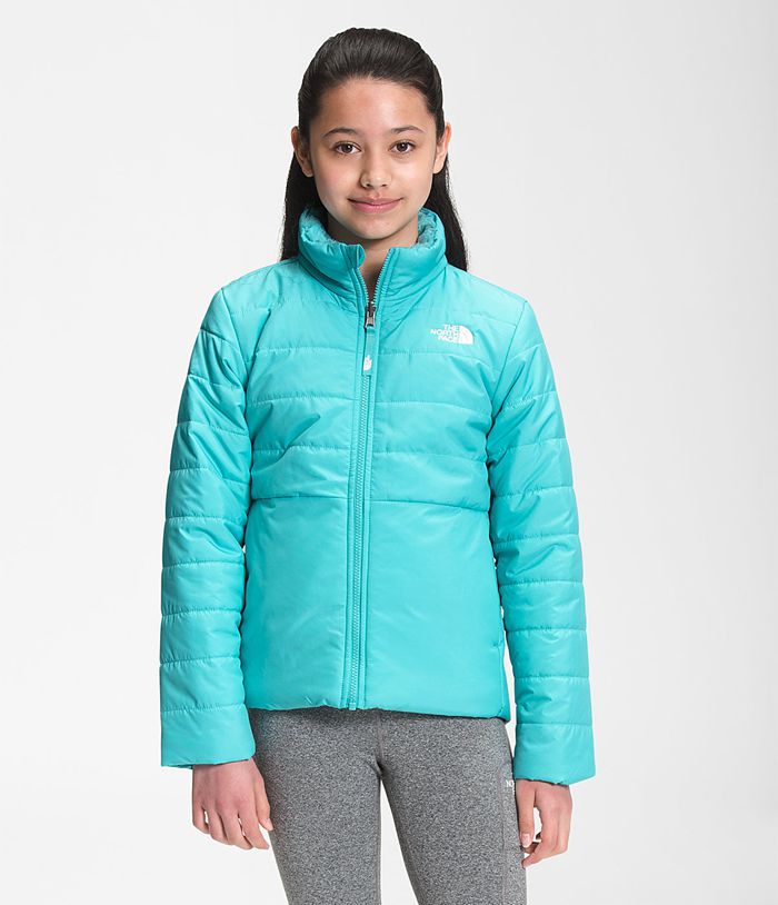 Casaca The North Face Niña Reversible Mossbud Swirl Azules - Peru 38254DUAY